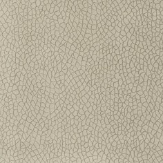 Tessuto Bora Terra 14 idrorepellente tonalità sabbia