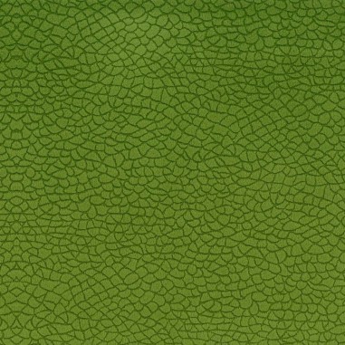 Tessuto Bora Terra 38 idrorepellente tonalità verde foglia