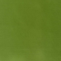 Tessuto Bora Plain 38 idrorepellente tonalità verde foglia
