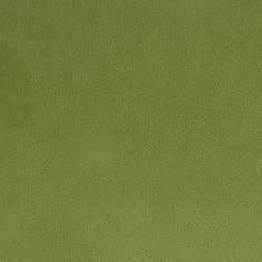 Microfibra Nabucco 28 antimacchia tonalità verde oliva