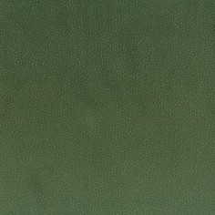 Microfibra Nabucco 38 antimacchia tonalità verde eucalipto