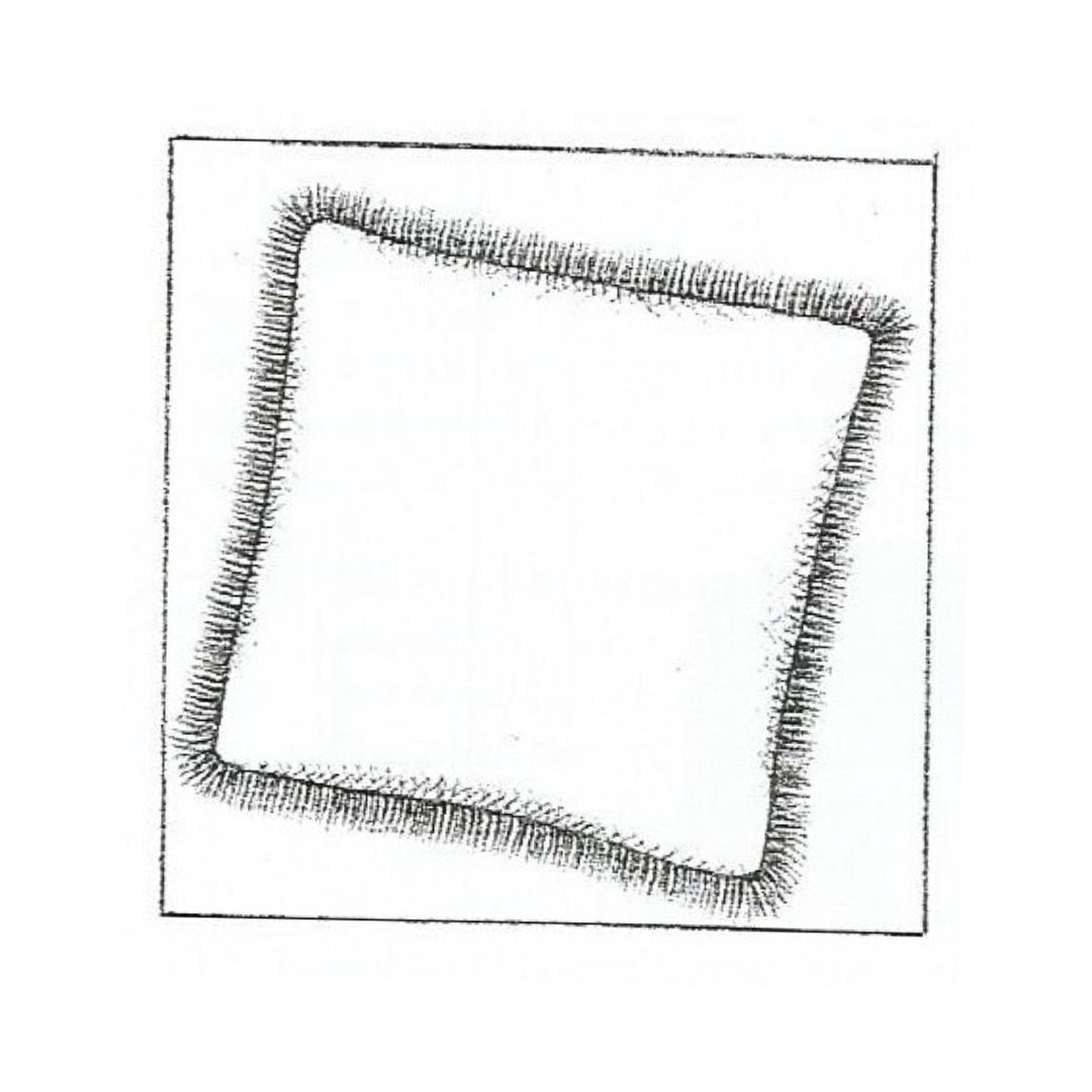 Cuscini